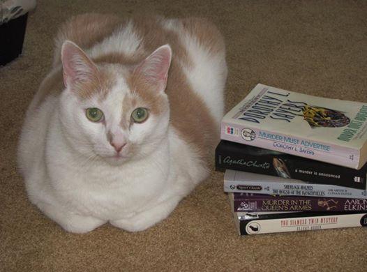 Everything's cuter with cats.